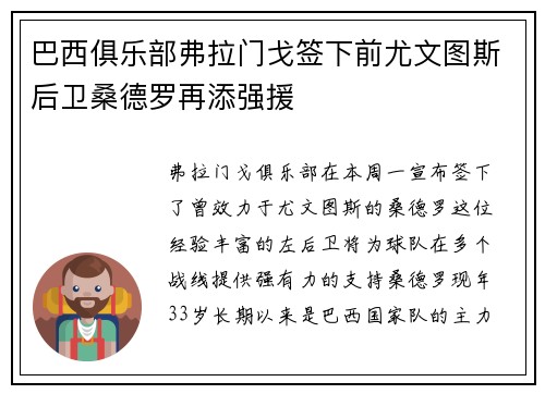 巴西俱乐部弗拉门戈签下前尤文图斯后卫桑德罗再添强援